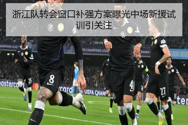 浙江队转会窗口补强方案曝光中场新援试训引关注（LEYUSPORTS）